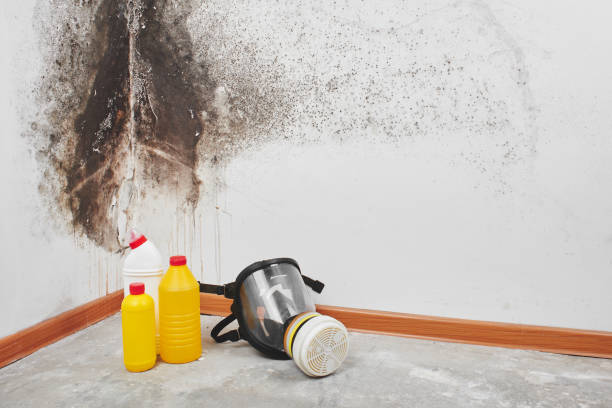 Certified Mold Removal in Prineville Lake Acres, OR