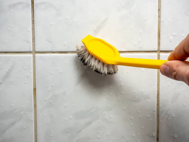 Best Office Mold Removal Services  in Prineville Lake Acres, OR