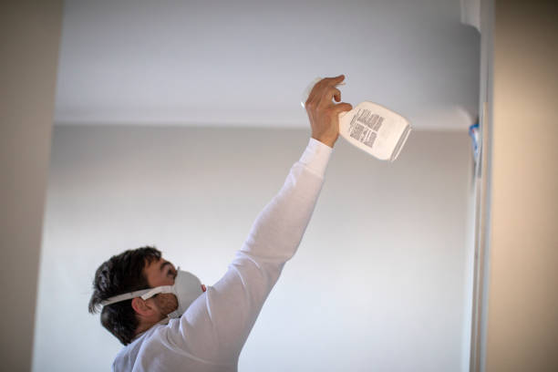 Best Black Mold Removal  in Prineville Lake Acres, OR