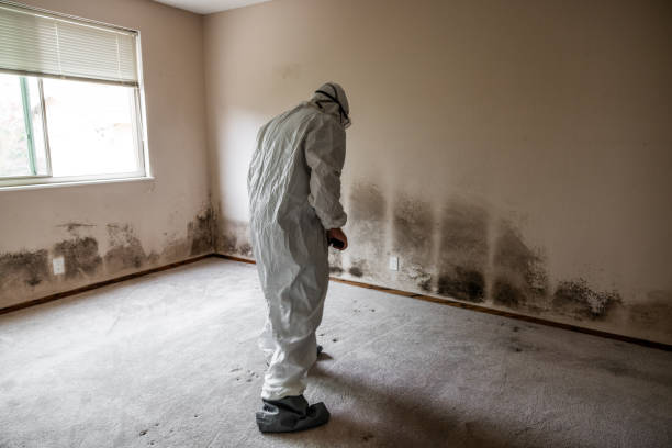 Best Crawl Space Mold Removal  in Prineville Lake Acres, OR